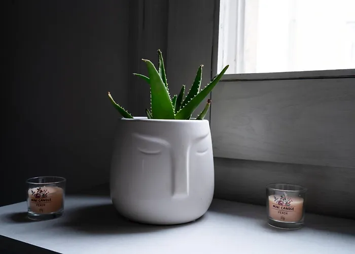 1970s' Ace * Sarajevo